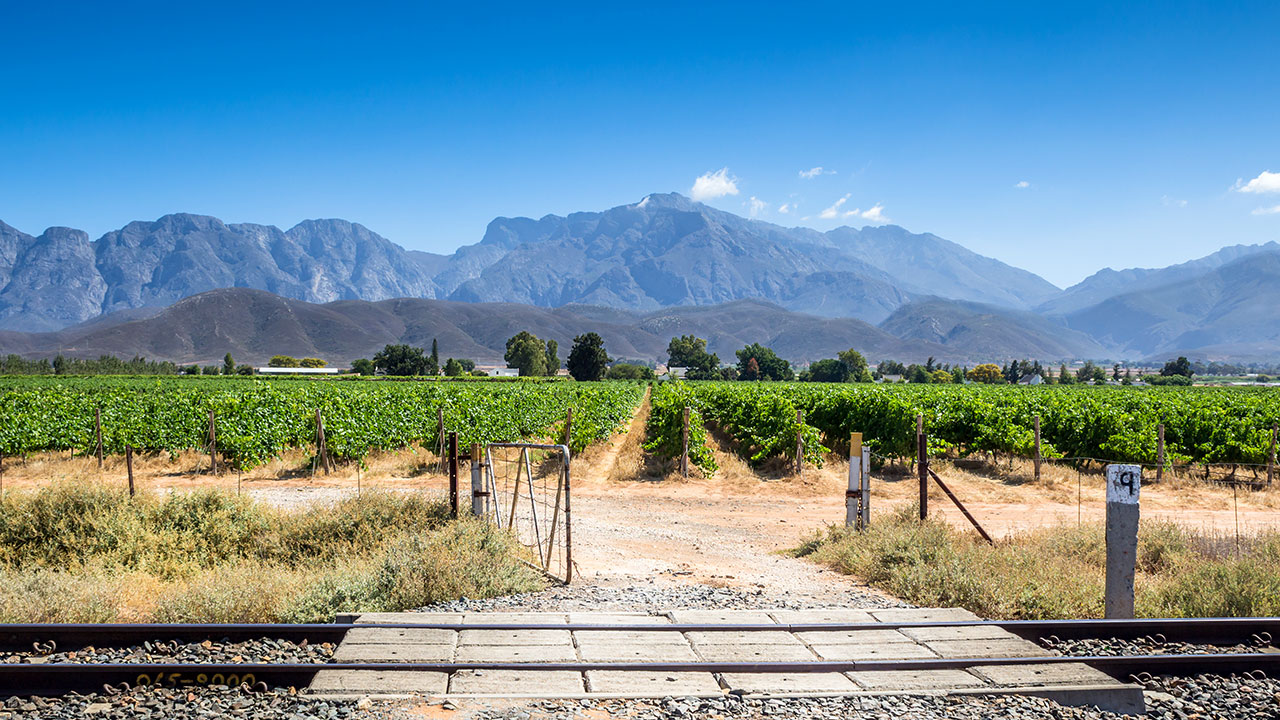 Robertson-1280x720px