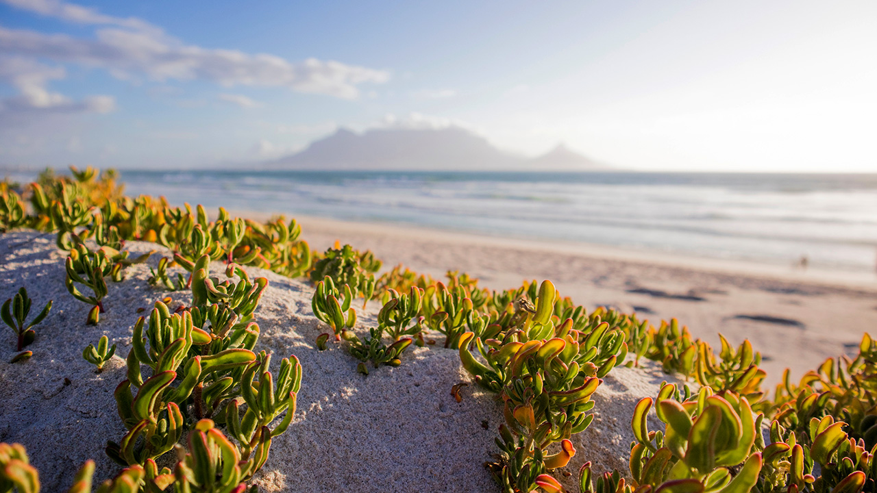 Sunningdale830AM-1280x720px