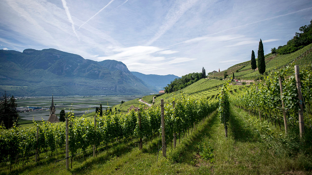 Wellington-1280x720px