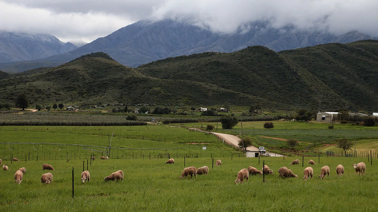 Oudtshoorn-1280x720px