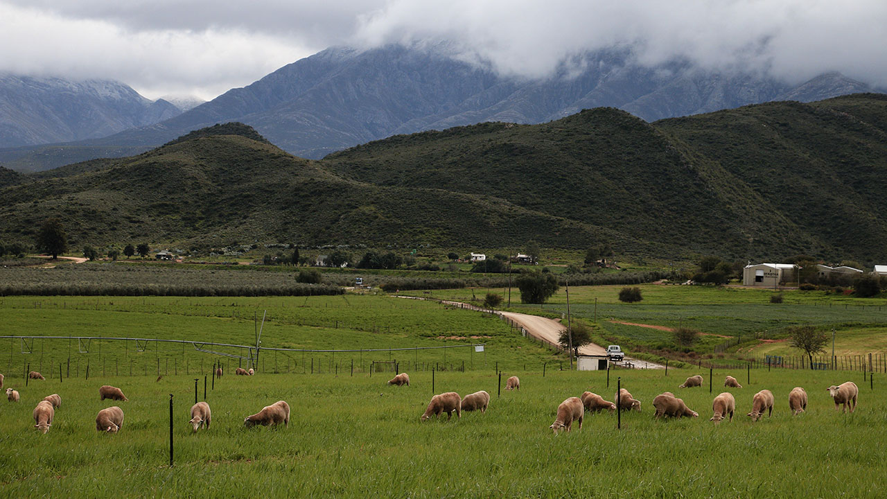 The Nation Our Inheritance - Thomas Theron (Oudtshoorn)
