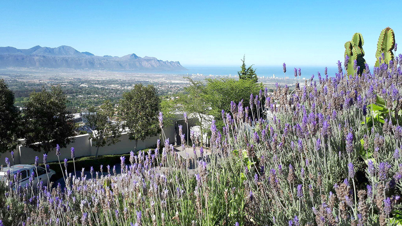 Crossing Your Jordan - Richard Gordon (Somerset West)