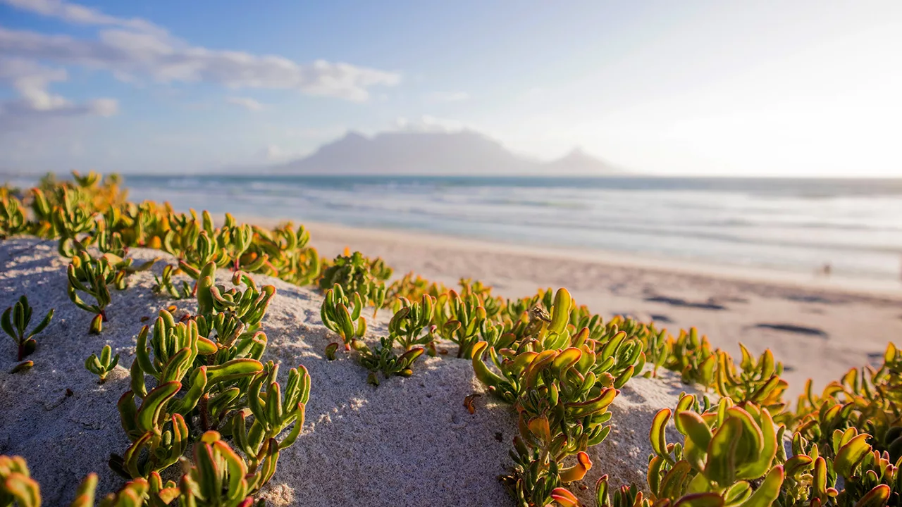 Sunningdale830AM-1280x720px