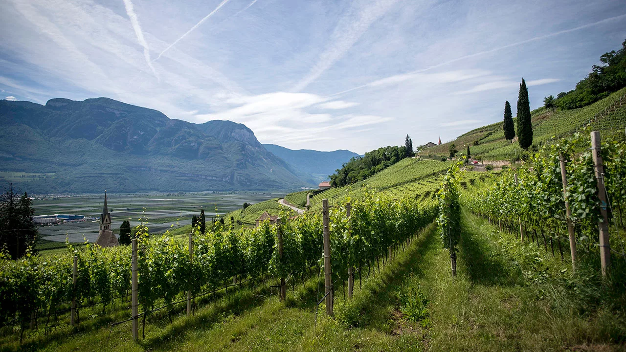 Wellington-1280x720px