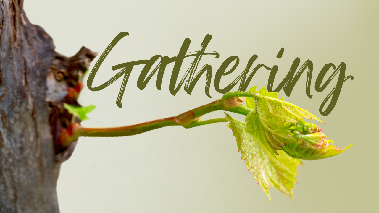 Gathering_CapePeninsula_EB